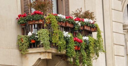 Balcones con Encanto