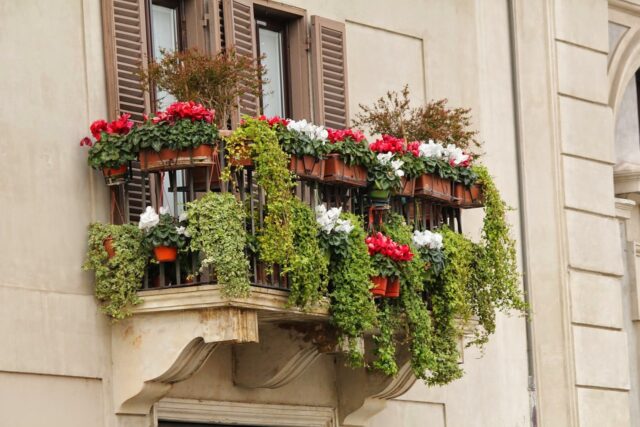 Balcones con Encanto