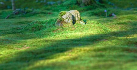 Uso Creativo de Rocas y Piedras